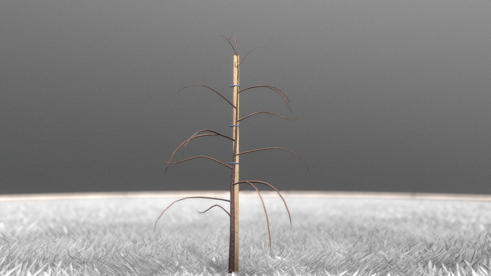 3D model Small Plum Tree 2m – Winter Season - This is a 3D model of the Small Plum Tree 2m - Winter Season. The 3D model is about a plant in a field.