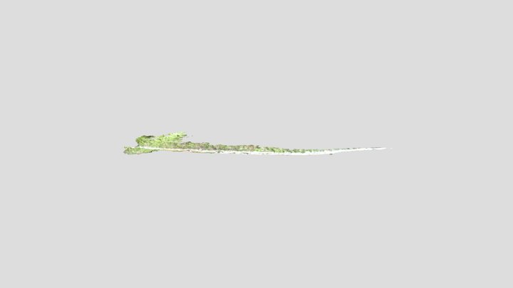 Trail 3D Model