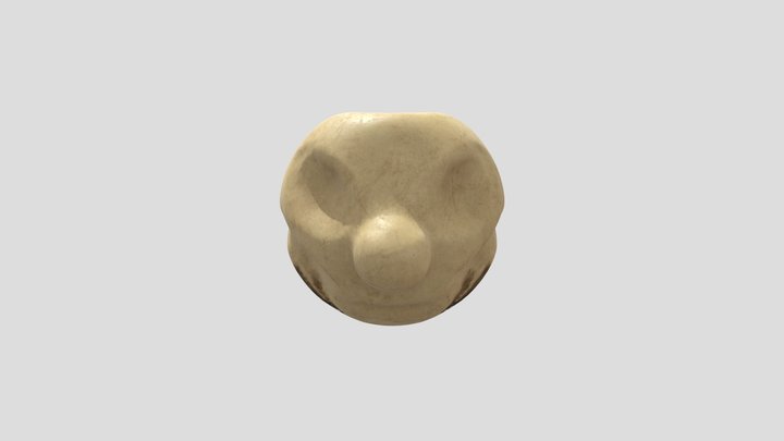 First Skull Ever! 3D Model