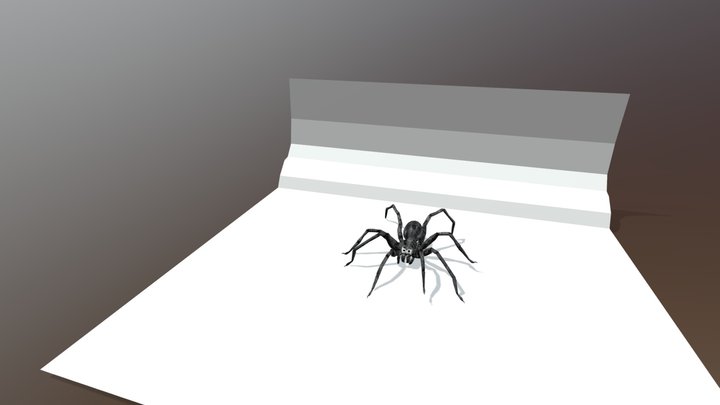 Spider-08 rig and animation pint 3D Model