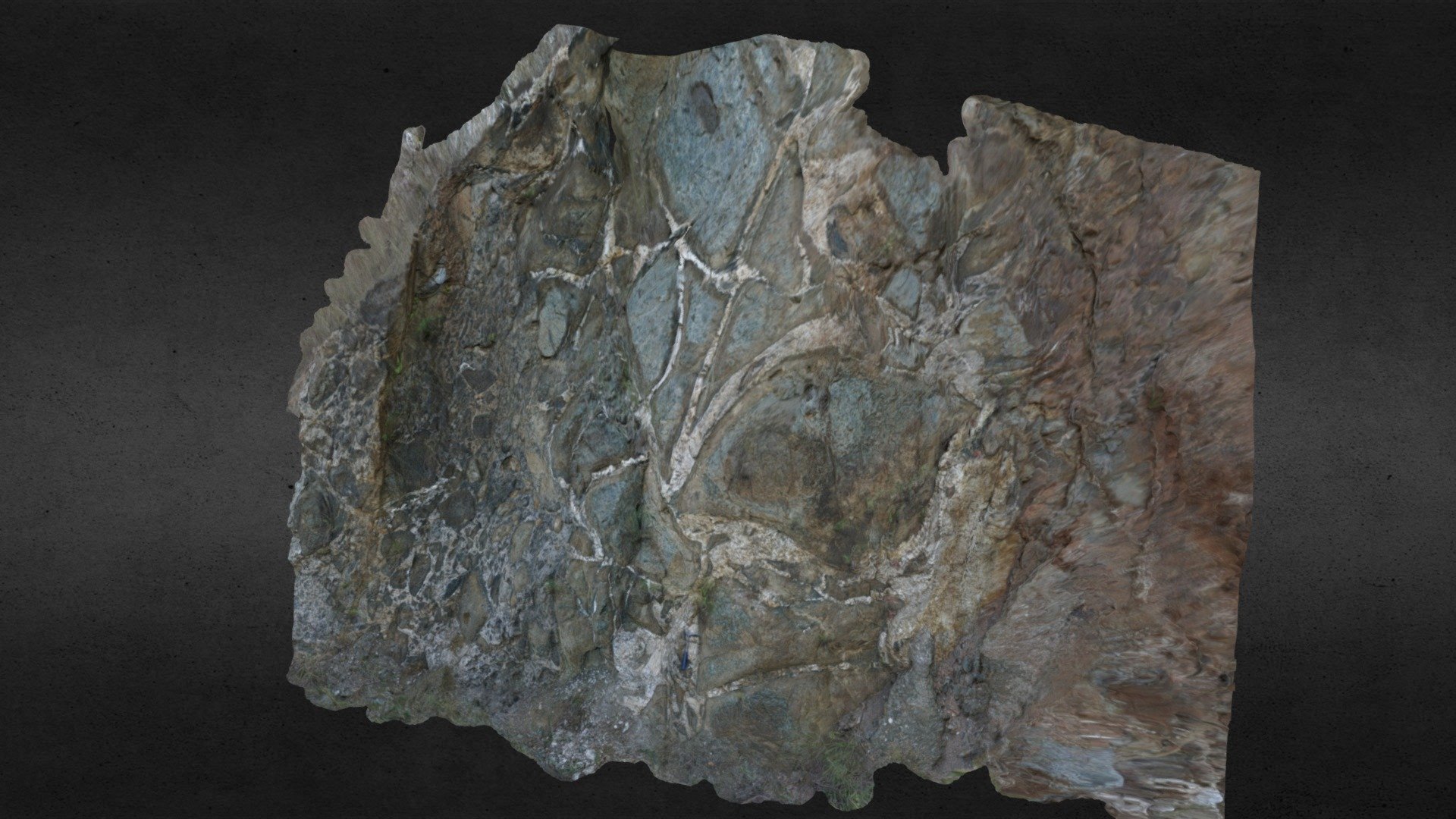 Permo-Triassic Meta-granitoid