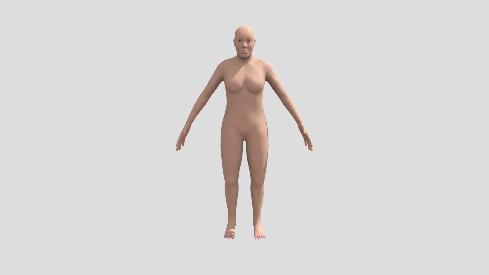Anatomical Studies Final