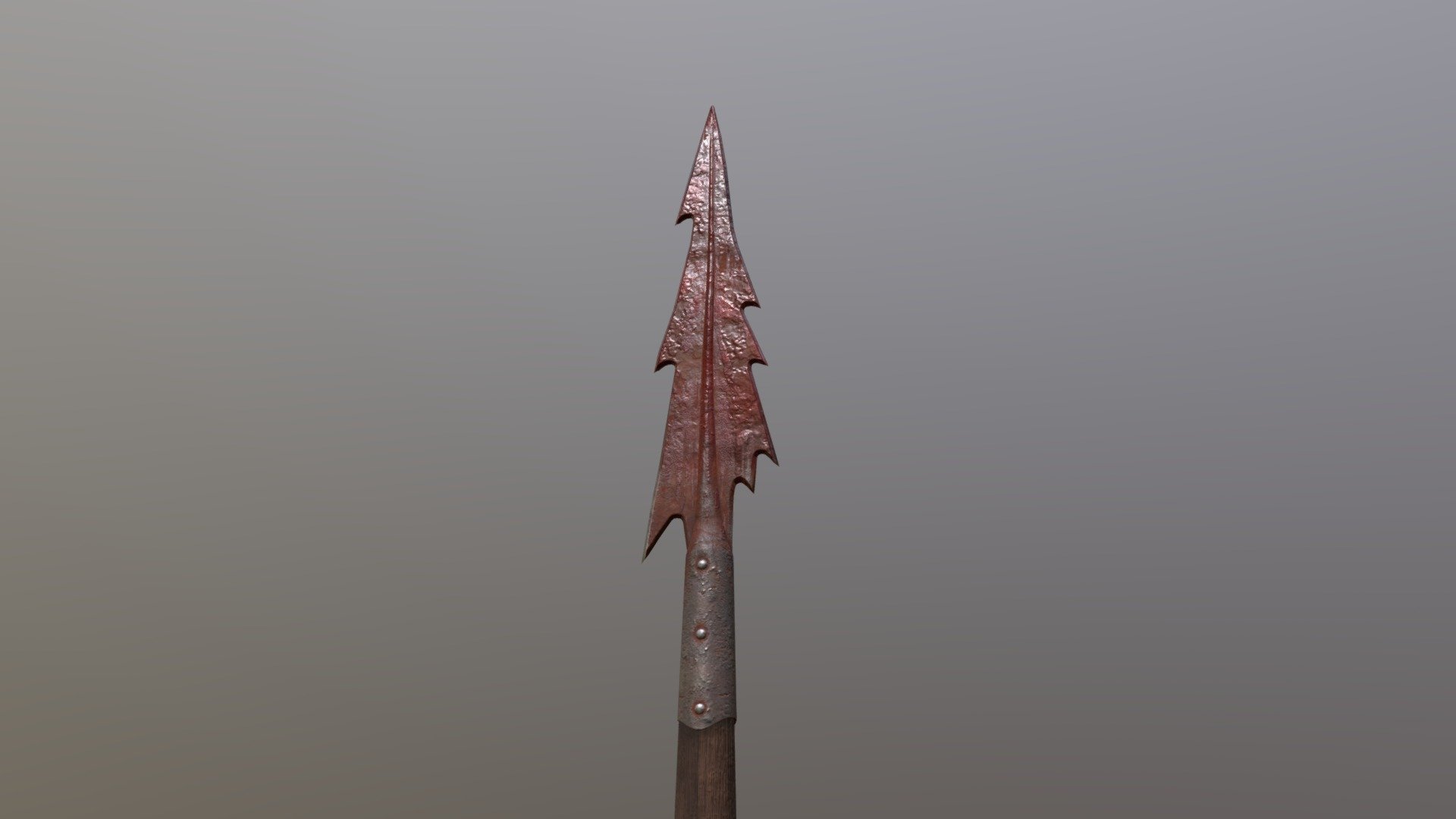 Medieval spear