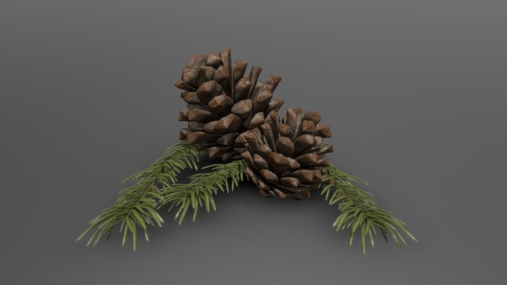 Pine Cone 3D Model