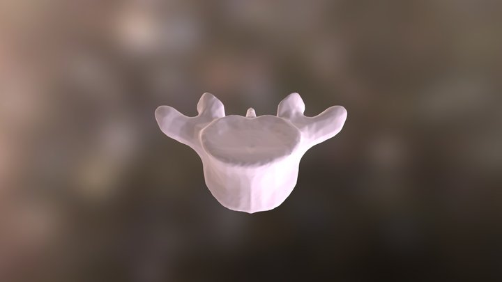L5 Lumbar Vertebrae 3D Model