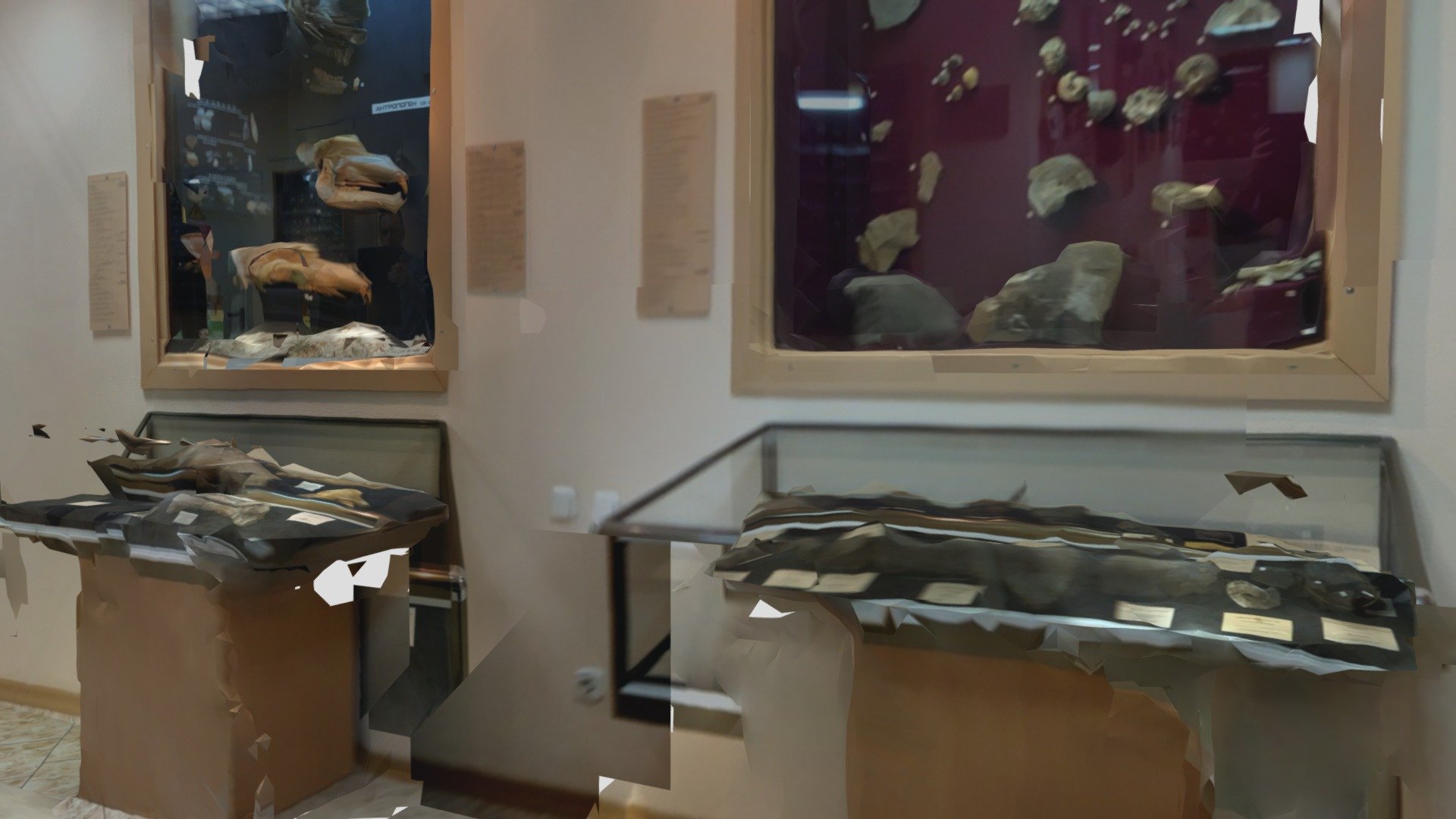 Museum hall
