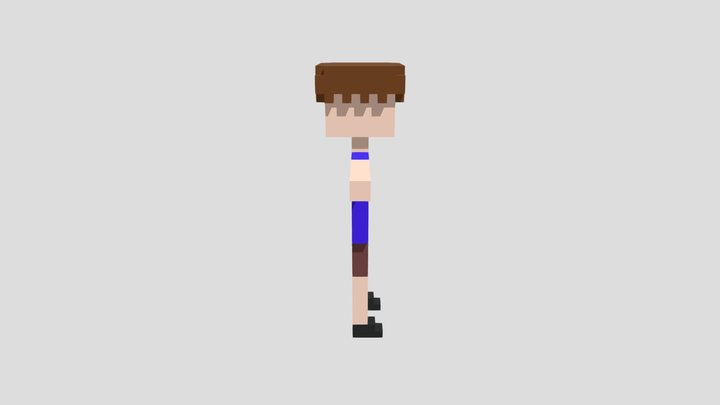 Human Voxel 3D Model