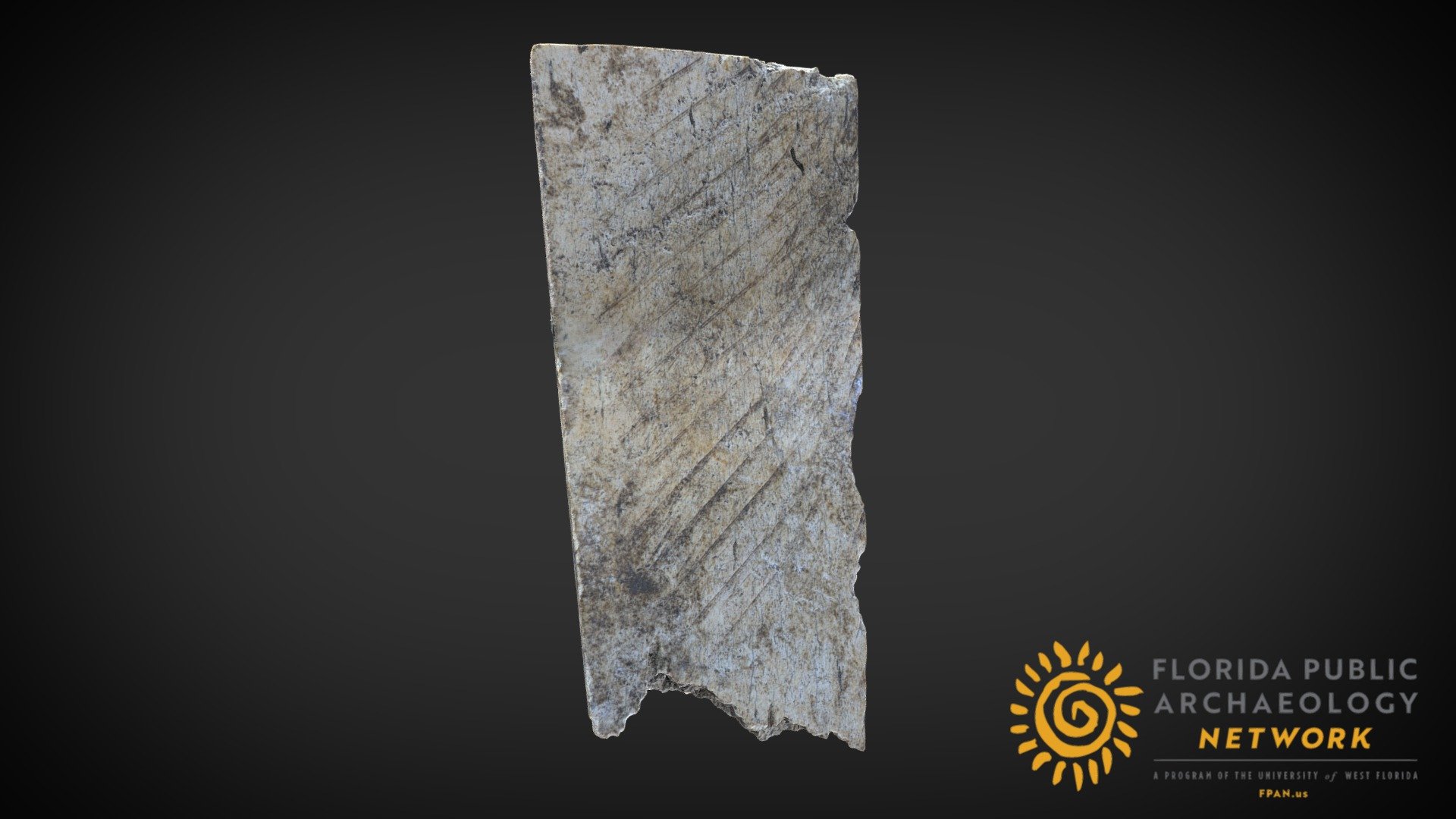 Carved Bone