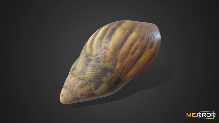 [Game-Ready] Snail 3D Model
