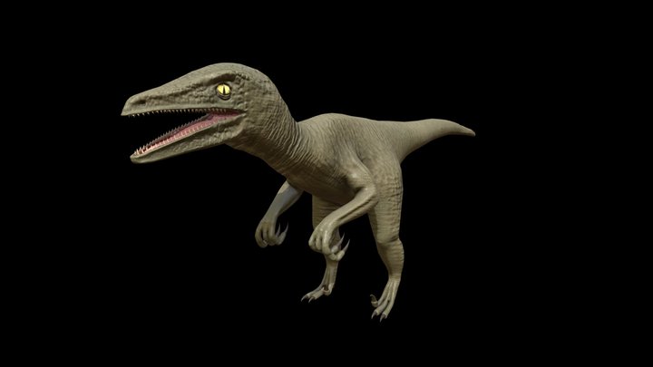 Raptor 3D Model
