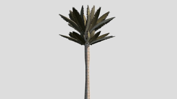 Palm Tree_04 – Free 3D Model STL