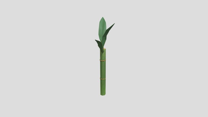 Bamboo 3D Model