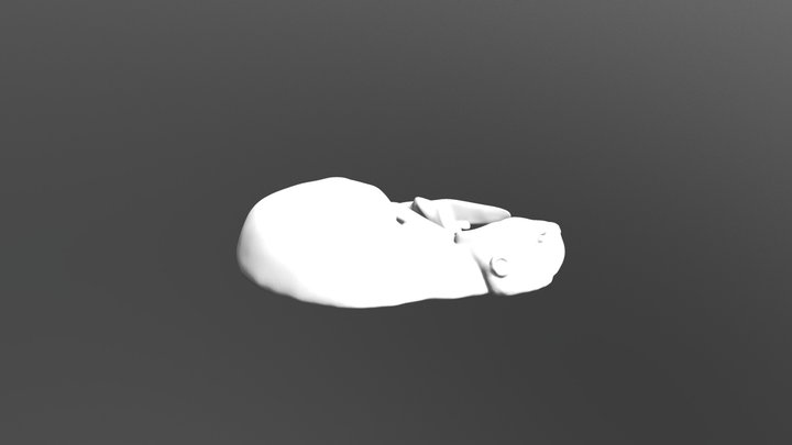 Beaver High Poly V2 Obj 3D Model