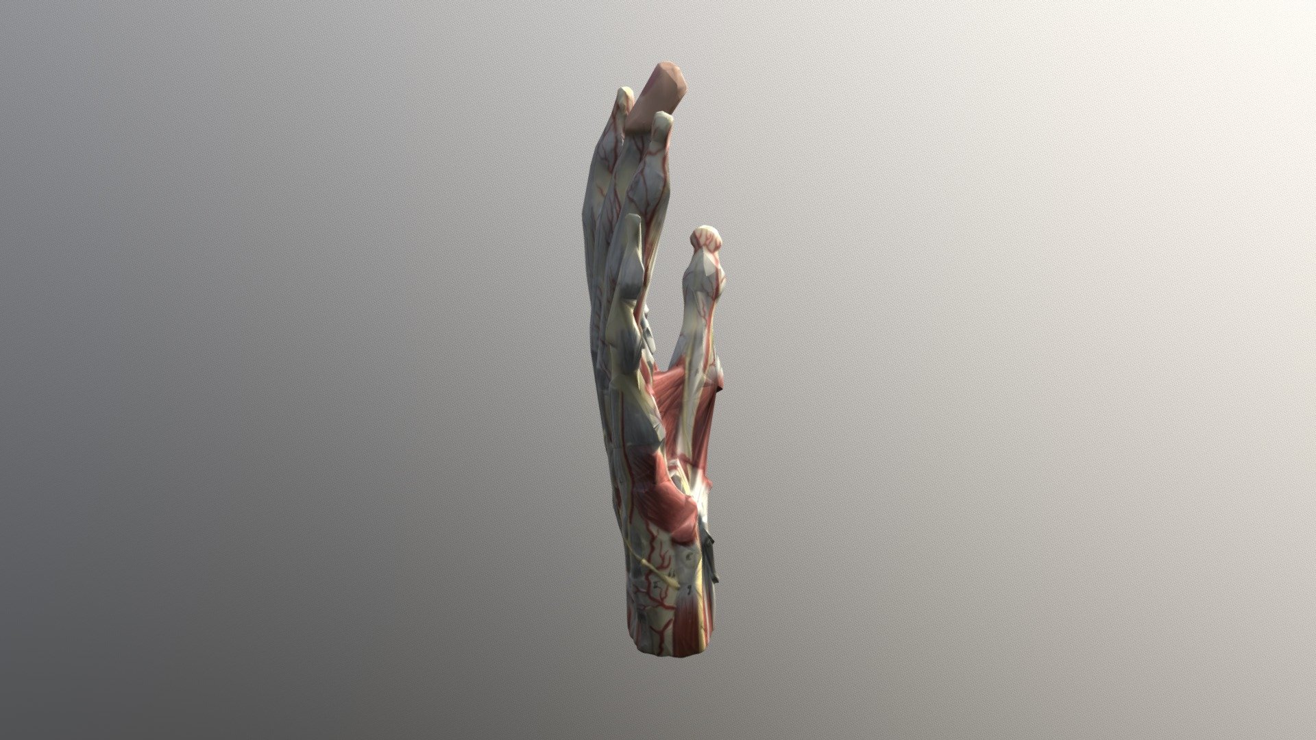 Hand Ultra - 3D model by UEMS-LSRC [f61b67c] - Sketchfab