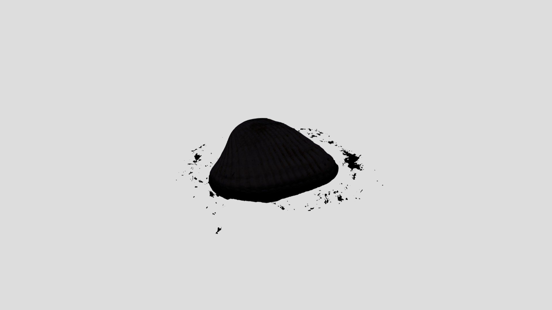 METASHAPE SEASHELL SMALL RAW