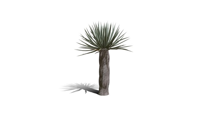 Realistic HD Dragon tree (41/50) 3D Model