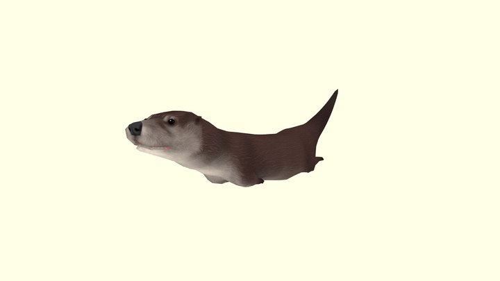 North American River Otter 3D Model