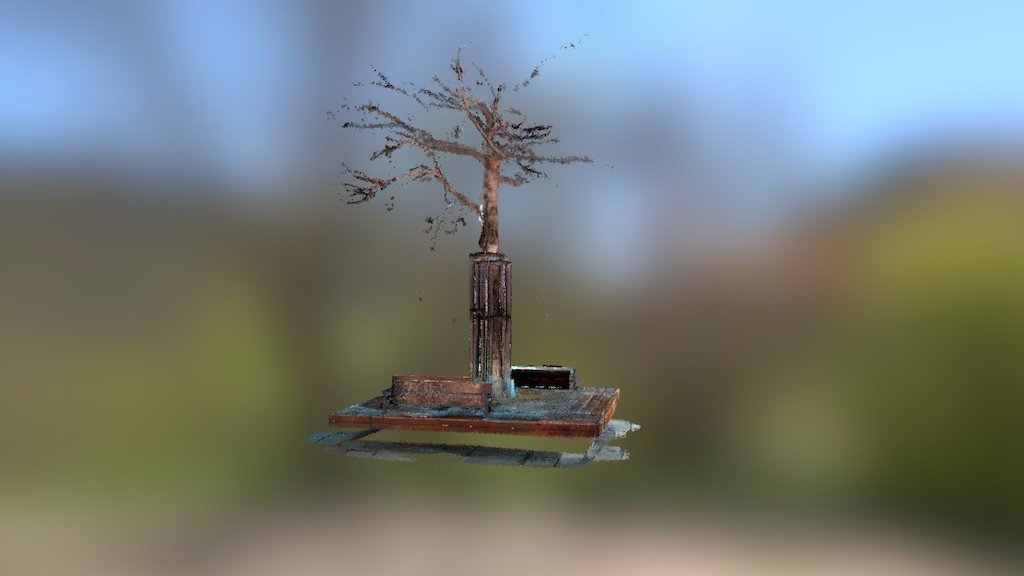 tree with bench