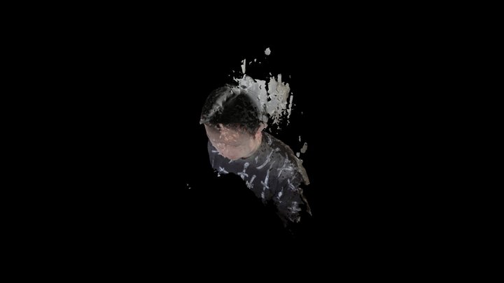HEAD 1 3D Model