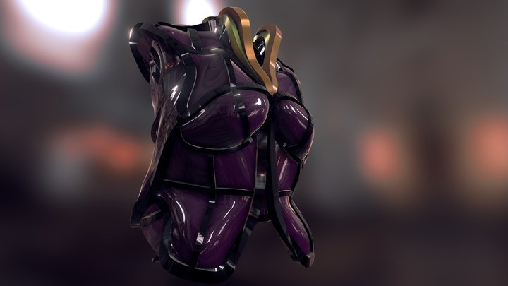 Ladyarmor 3D Model