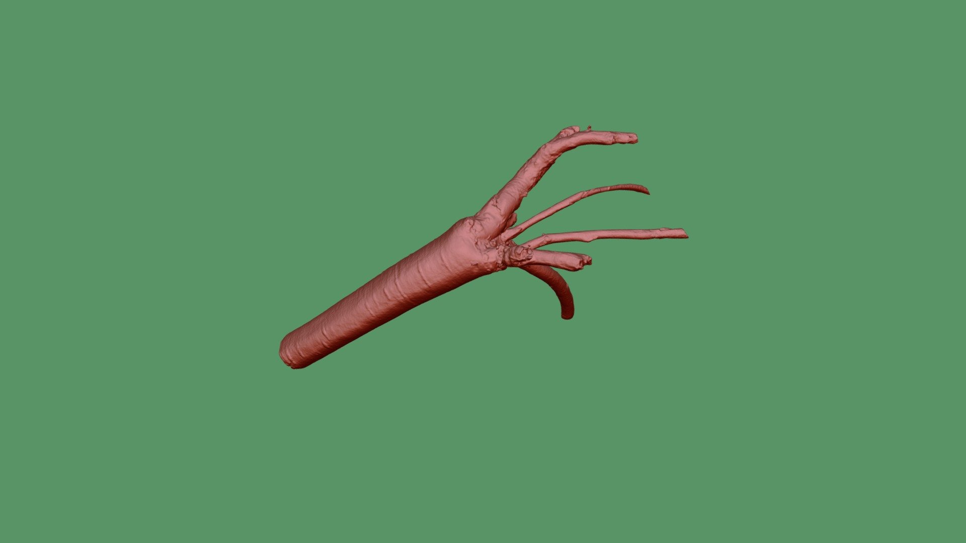 licorice 2