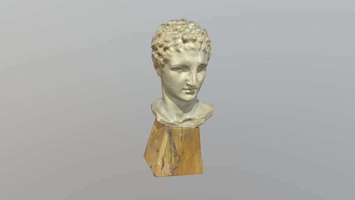 Hermio galva. Nežinomas XIX a. dailininkas 3D Model