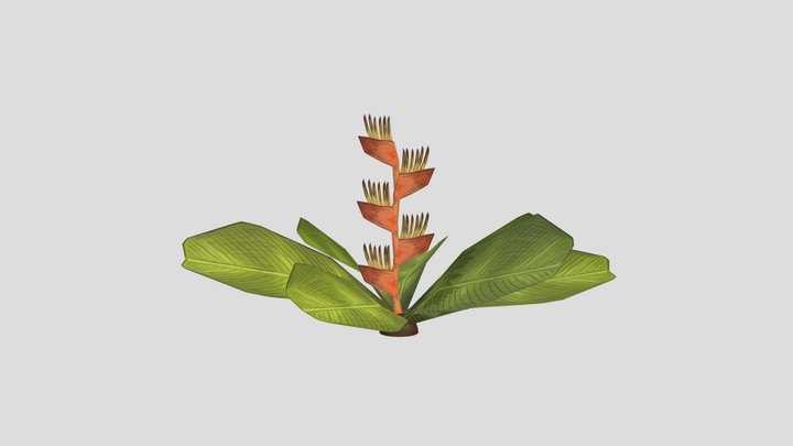 BG_Heliconia 3D Model