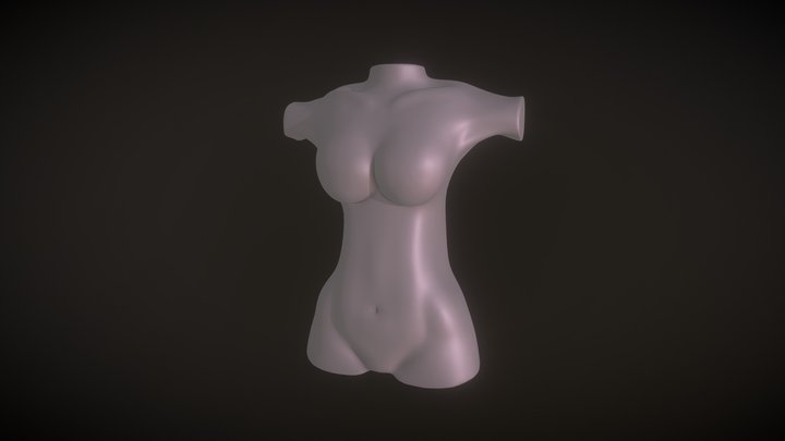 SculptJanuary18 - Day 29: Anatomy (Female Torso) 3D Model