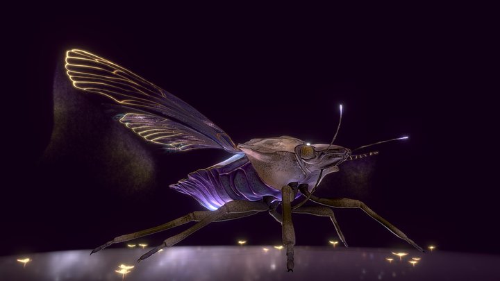 Queen Faced Bug 3D Model