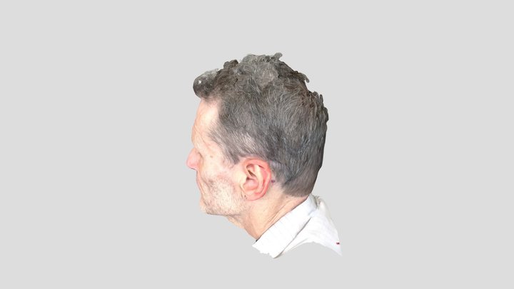Bazinant 3D Model