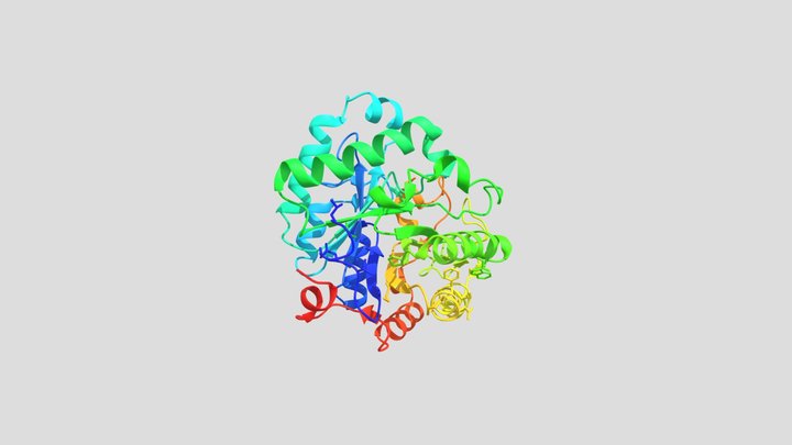Enzyme 3D models - Sketchfab