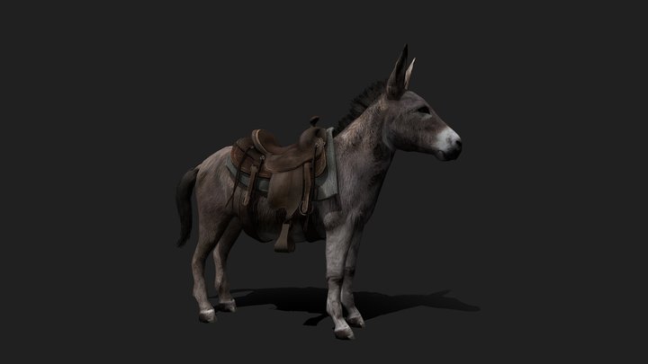 Realistic Donkey / Burro 3D Model 3D Model