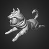 Loading 3D Model