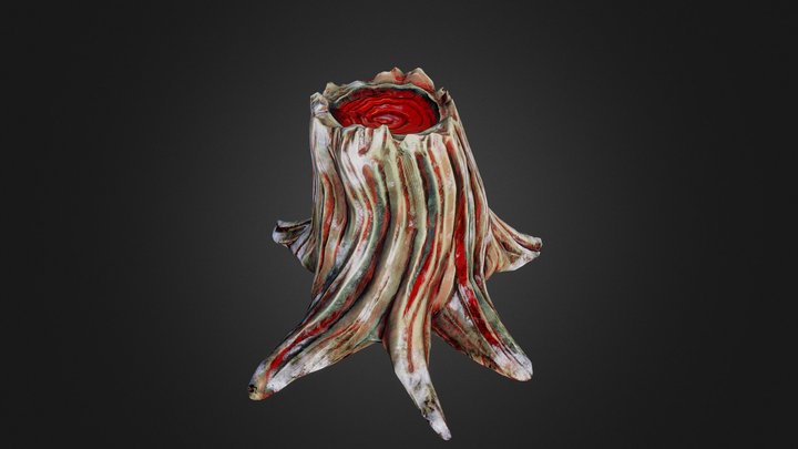 Stylised snow gum tree stump