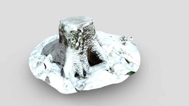 Snowy tree stump 3D Model