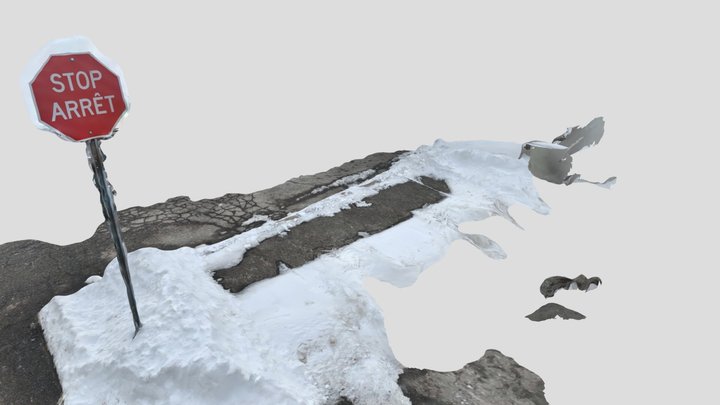 Scan #10 : Tiny Stop Sign 3D Model