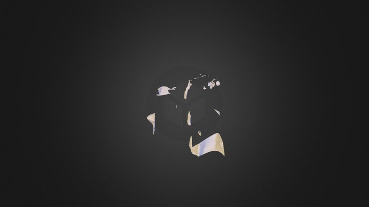 Upso 3D Model