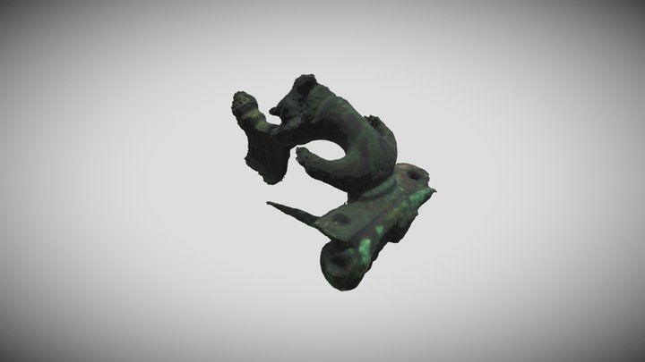 Sidrasta fibula 3D Model