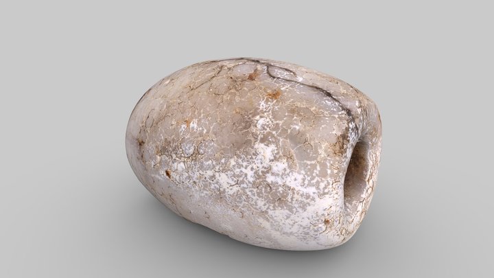 Bead