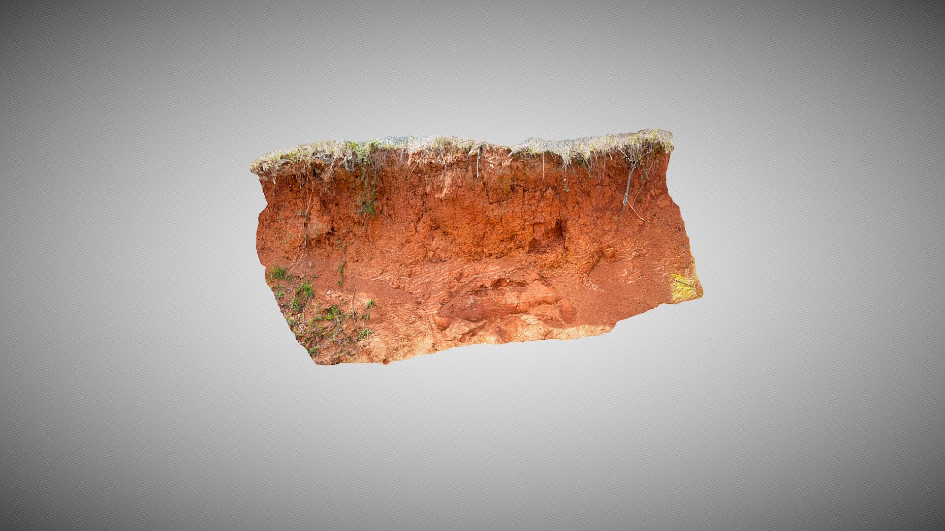 Tiger Stripes (Mottles) in Saproilte