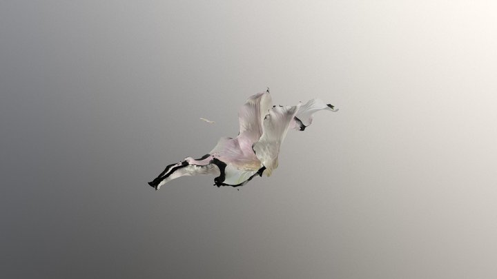 flower 3D Model