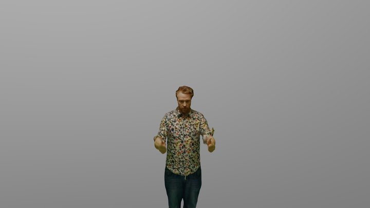 mesh after optimization (details for face/hands) 3D Model