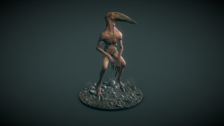 Coracos 3D Model