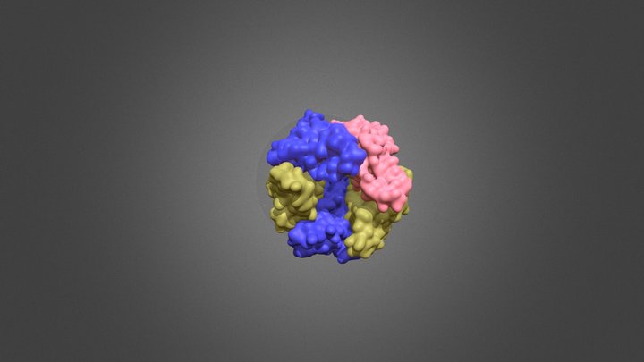 Nicotinic Acetylcholine Receptor 3D Model