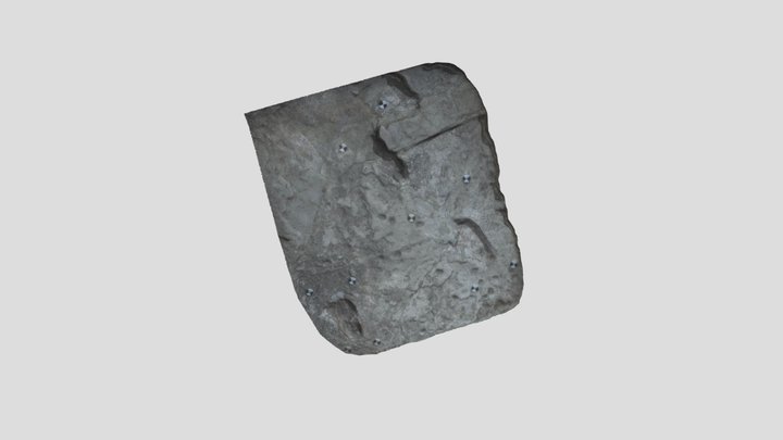 Laetoli footprints Site S (TP2) 3D Model