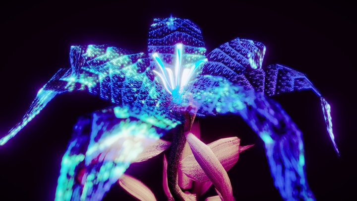 Flowerglow 3D Model