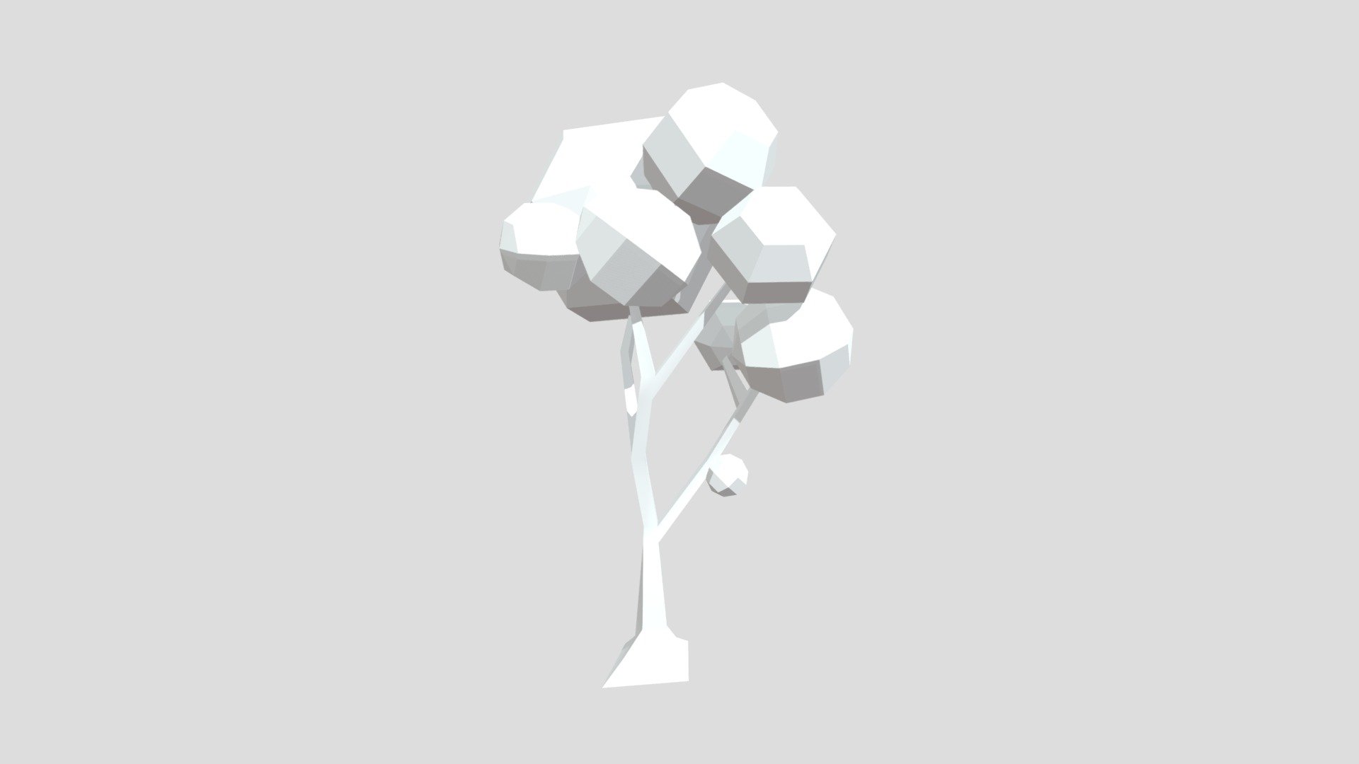 Arbol Cuatro