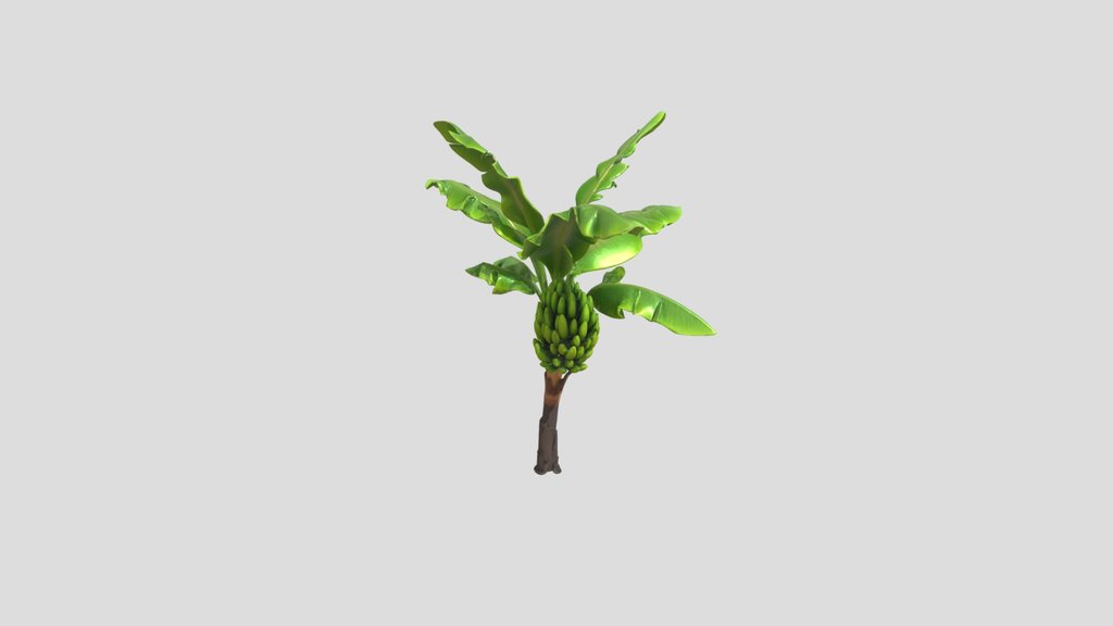 Banana_ Tree