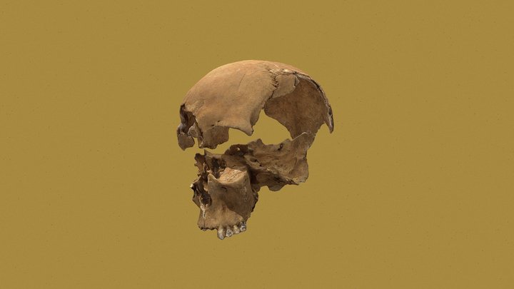Maðurinn úr Mosfellsdal 3D Model