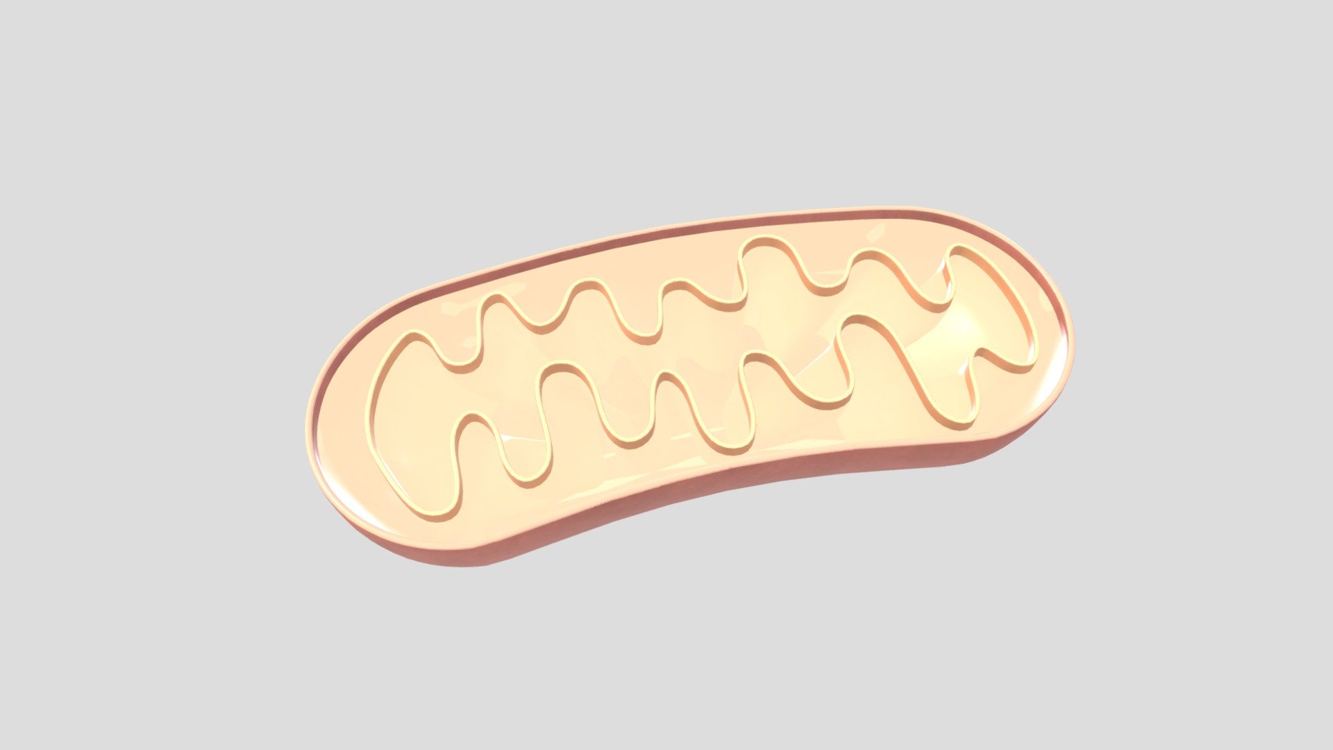 细胞器—线粒体 — Sketchfab embed 3D viewer